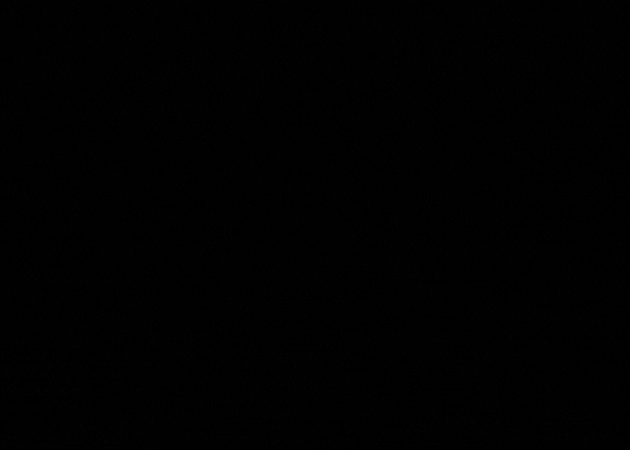 3D Restaurant Test Fit